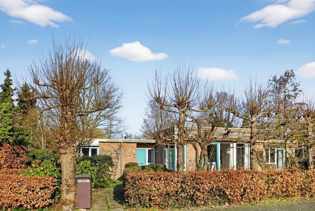 Photo 1 of Redemark 2