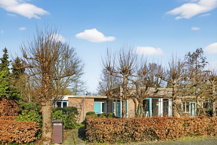 Redemark 2 main image