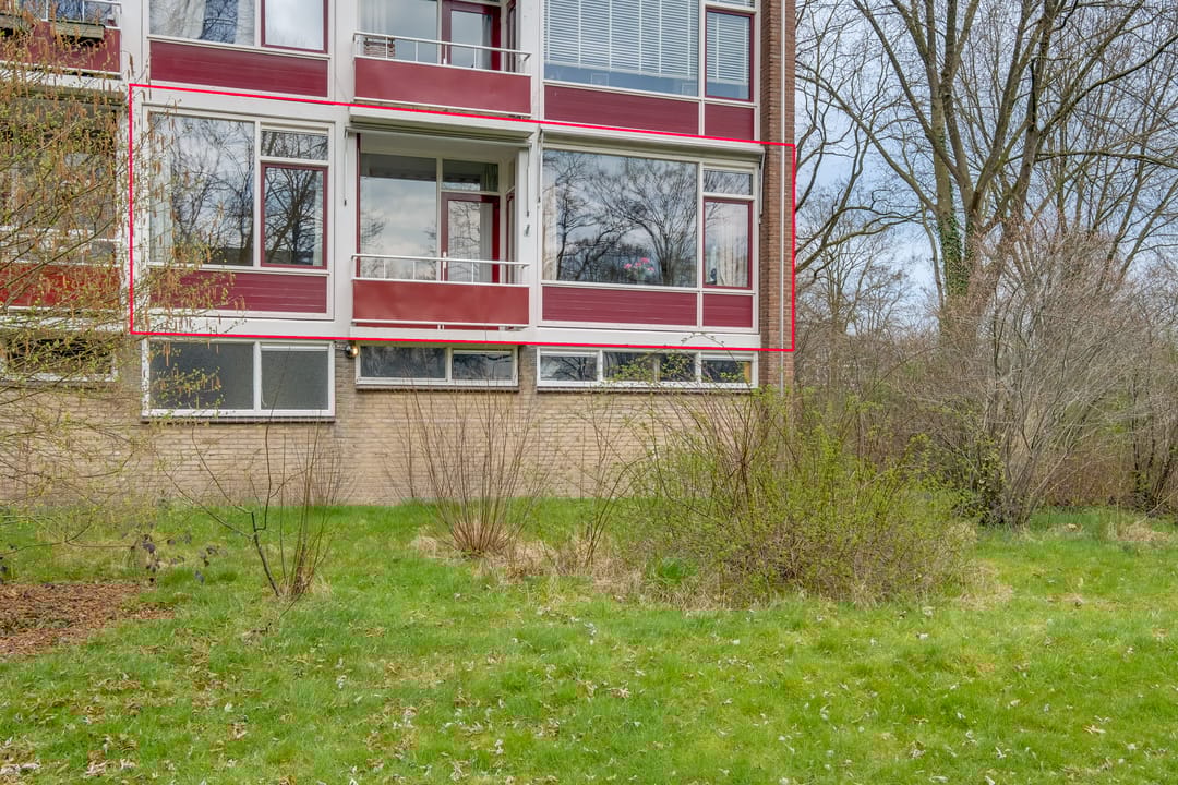 Foto 2 van Vogelplantsoen 37