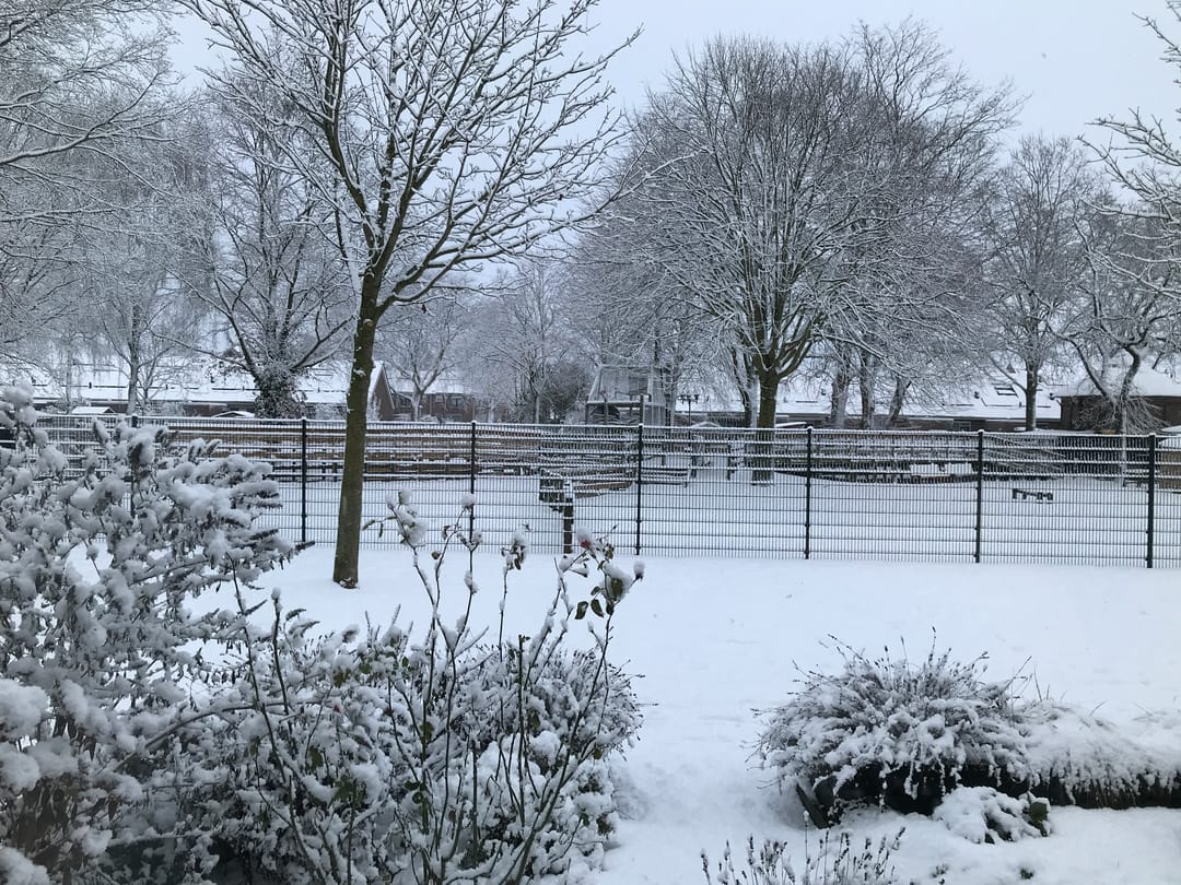 Photo 31 of Mauritsstraat 22