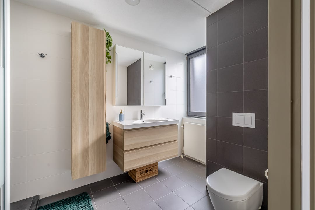 Foto 17 van Saffier 22