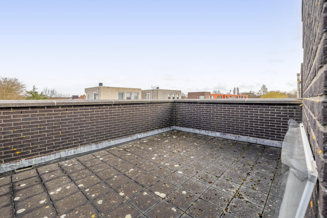 Foto 22 van Saffier 22