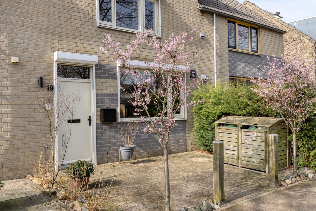 Foto 11 van Aronskelk 19