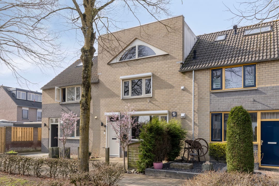 Foto 7 van Aronskelk 19