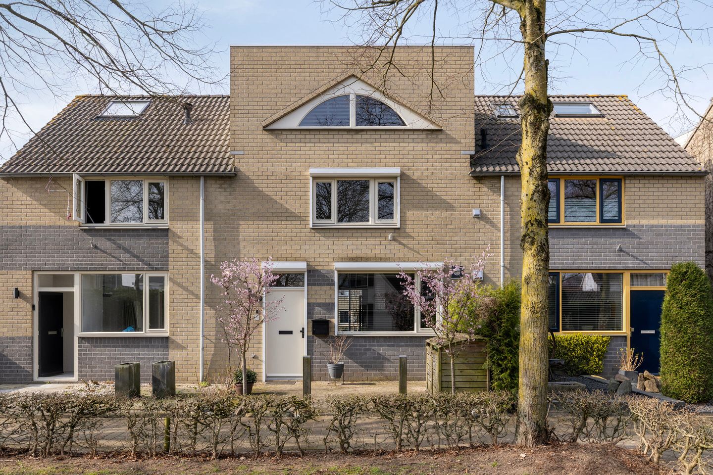 Foto 5 van Aronskelk 19