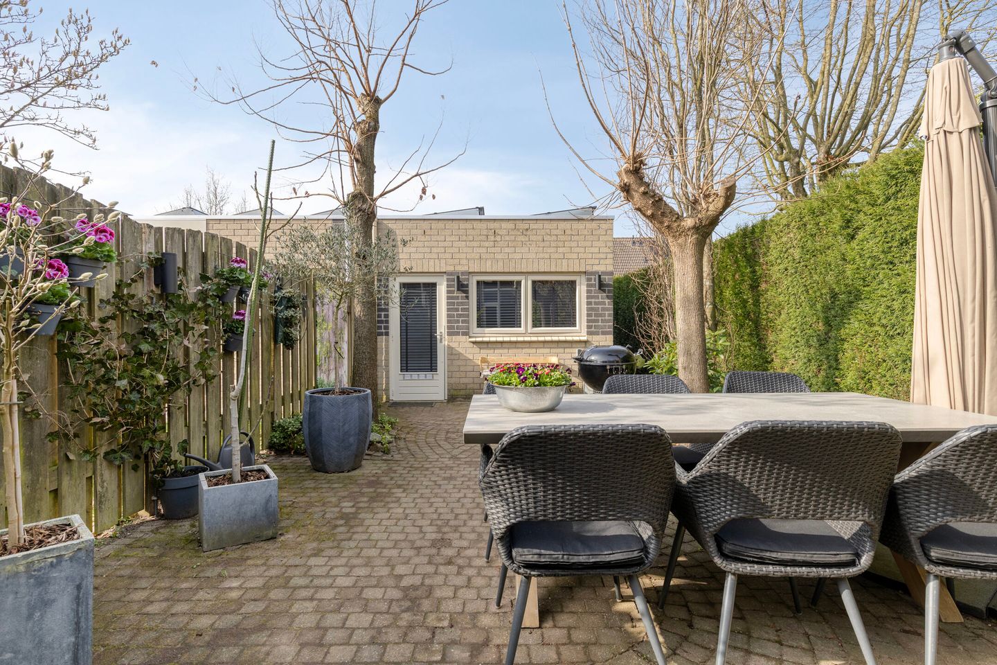 Foto 44 van Aronskelk 19