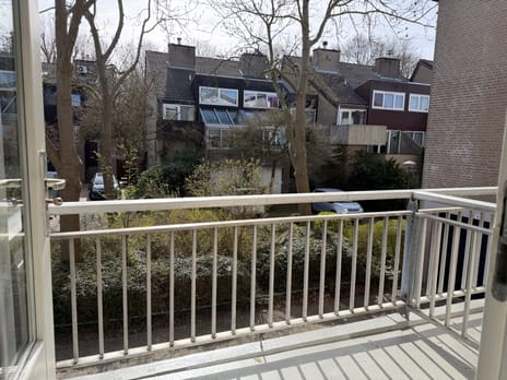 Hommelveld 73 tertiary image