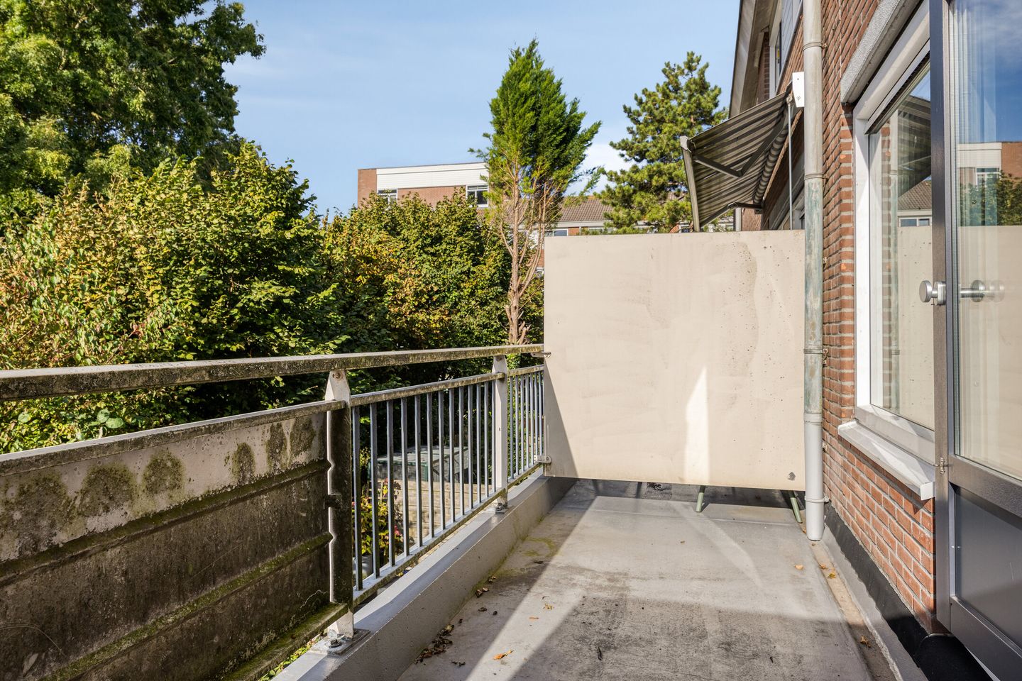 Foto 14 van Poolster 111