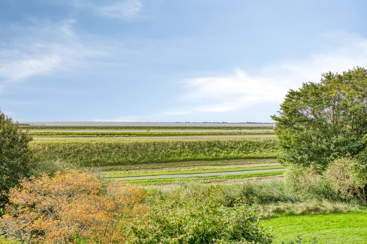 Foto 19 van Poolster 111