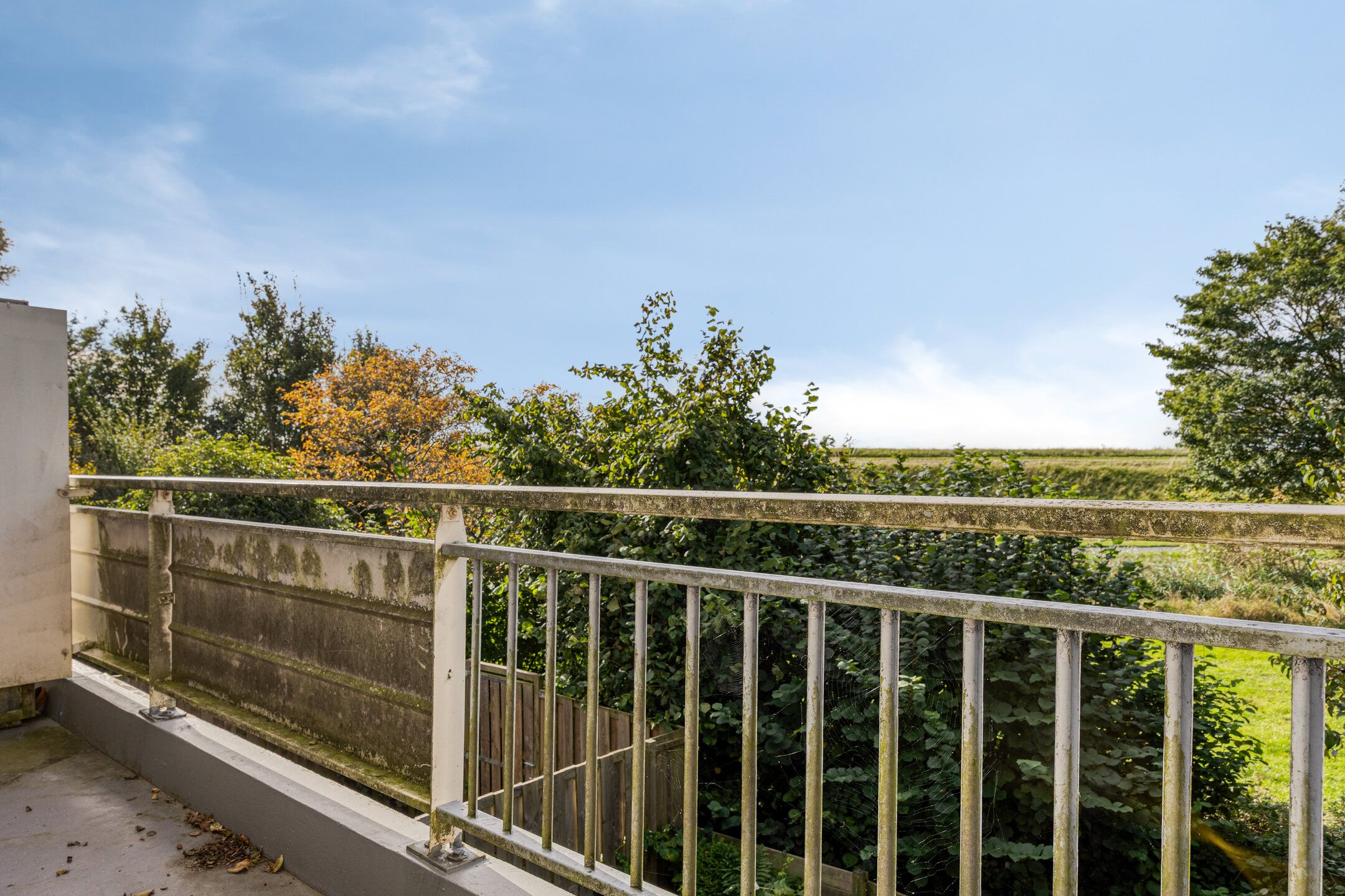 Foto 15 van Poolster 111