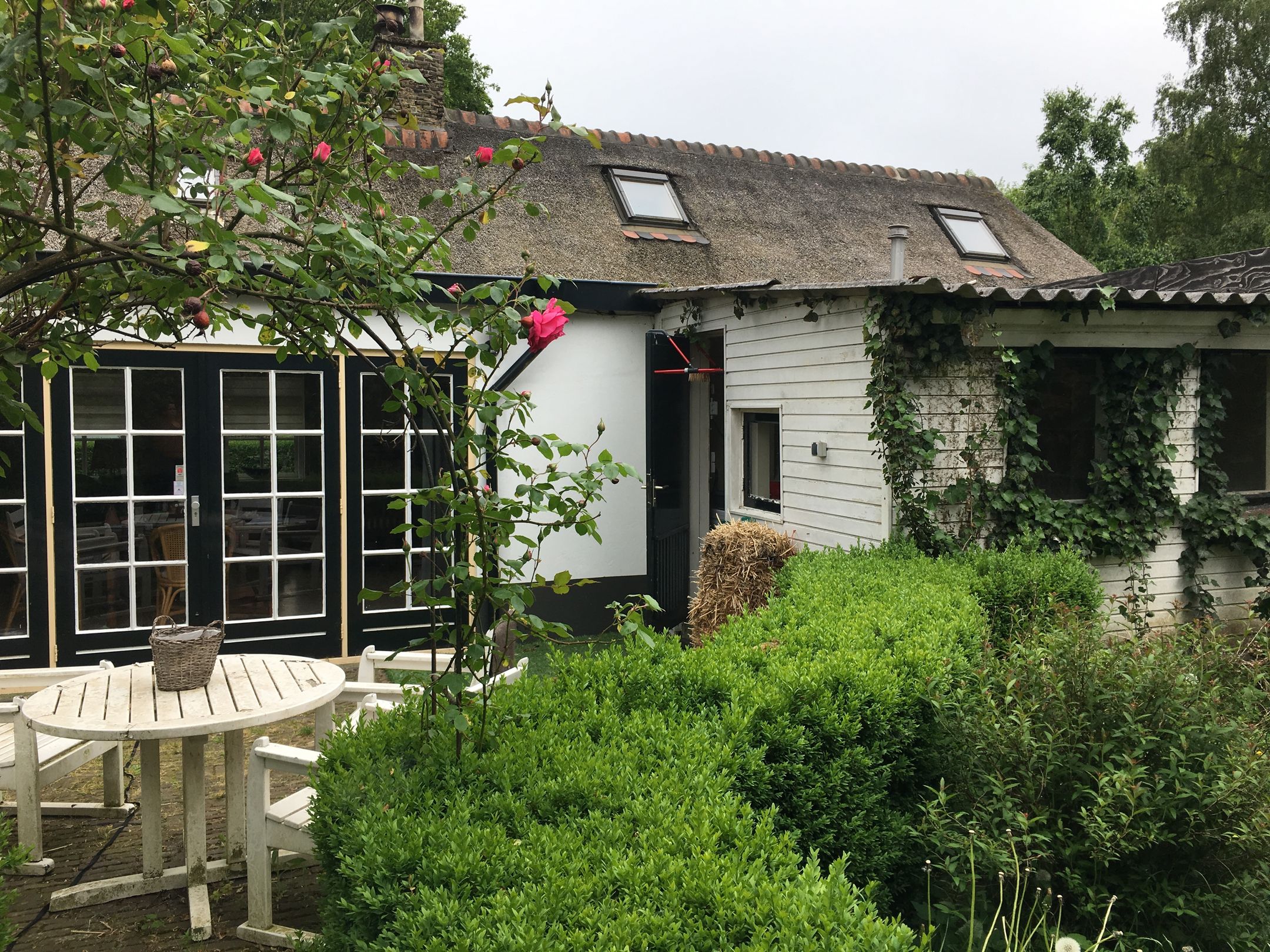 Foto 12 van Smeekweg 3