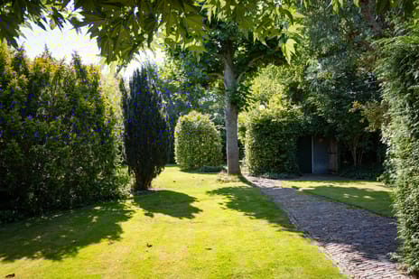 Dorpsstraat 300 tertiary image