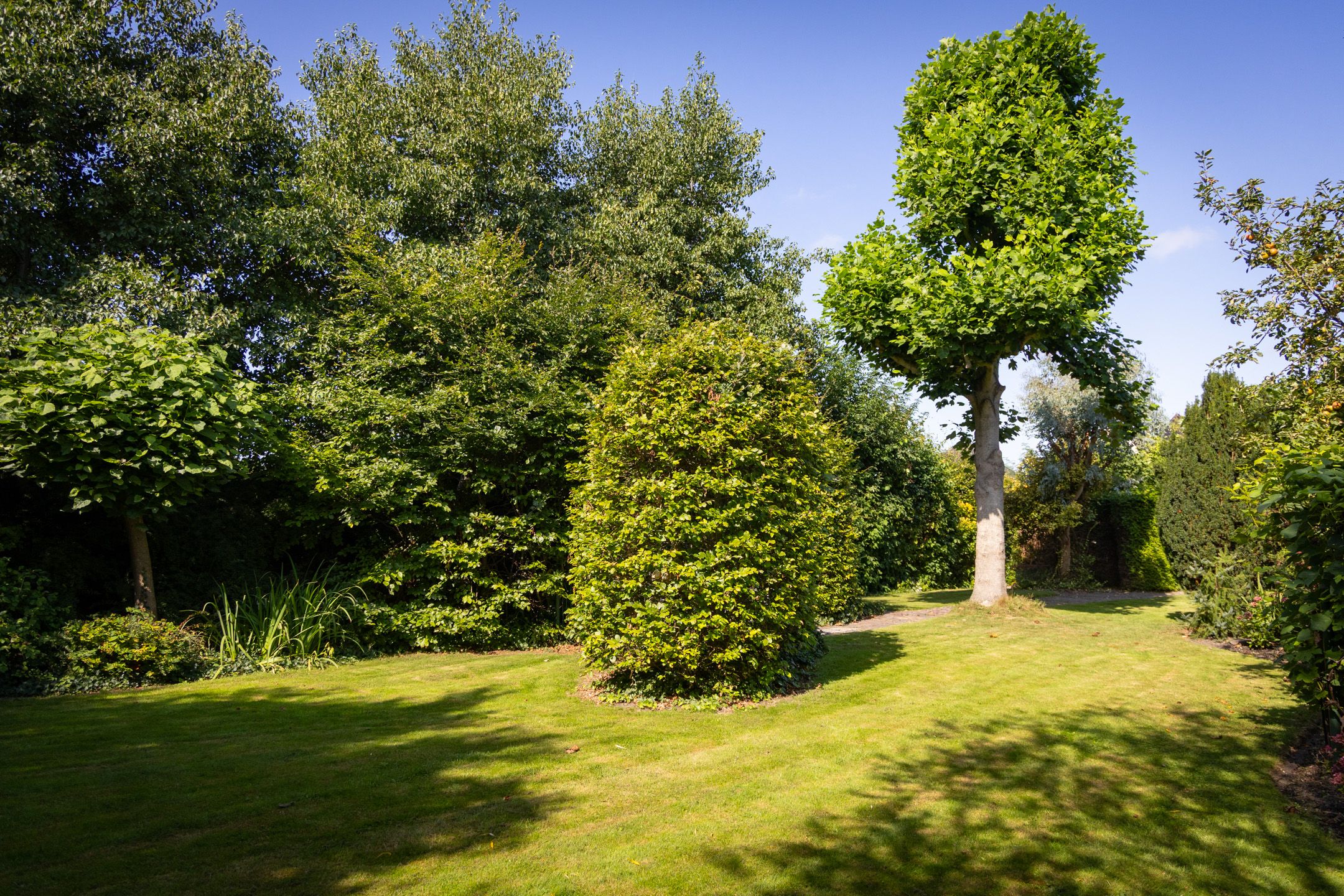 Foto 63 van Dorpsstraat 300