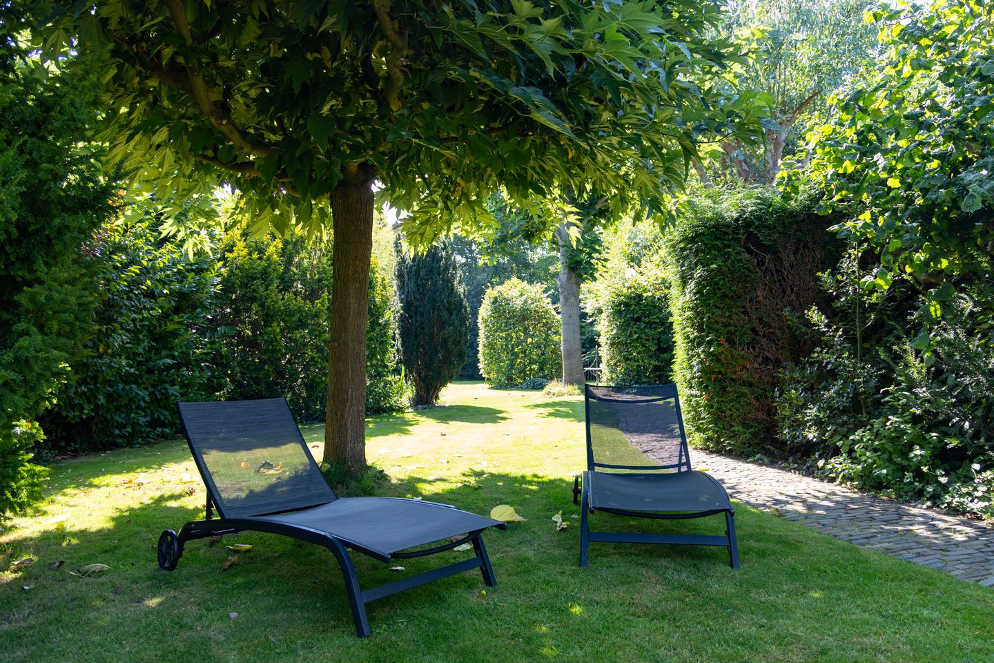 Foto 64 van Dorpsstraat 300