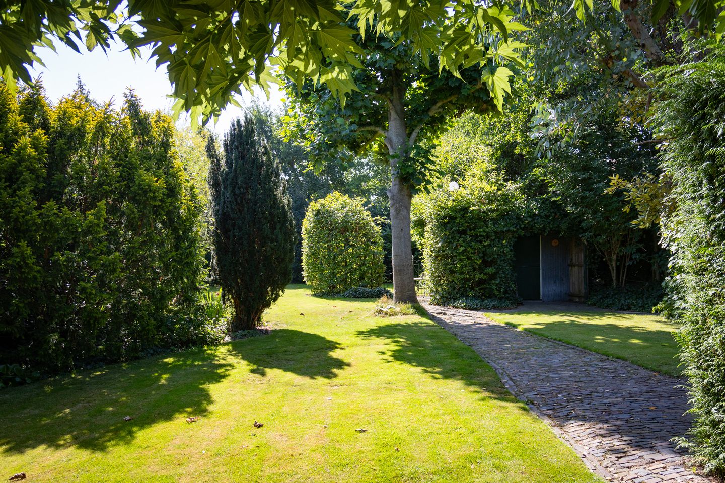 Foto 65 van Dorpsstraat 300