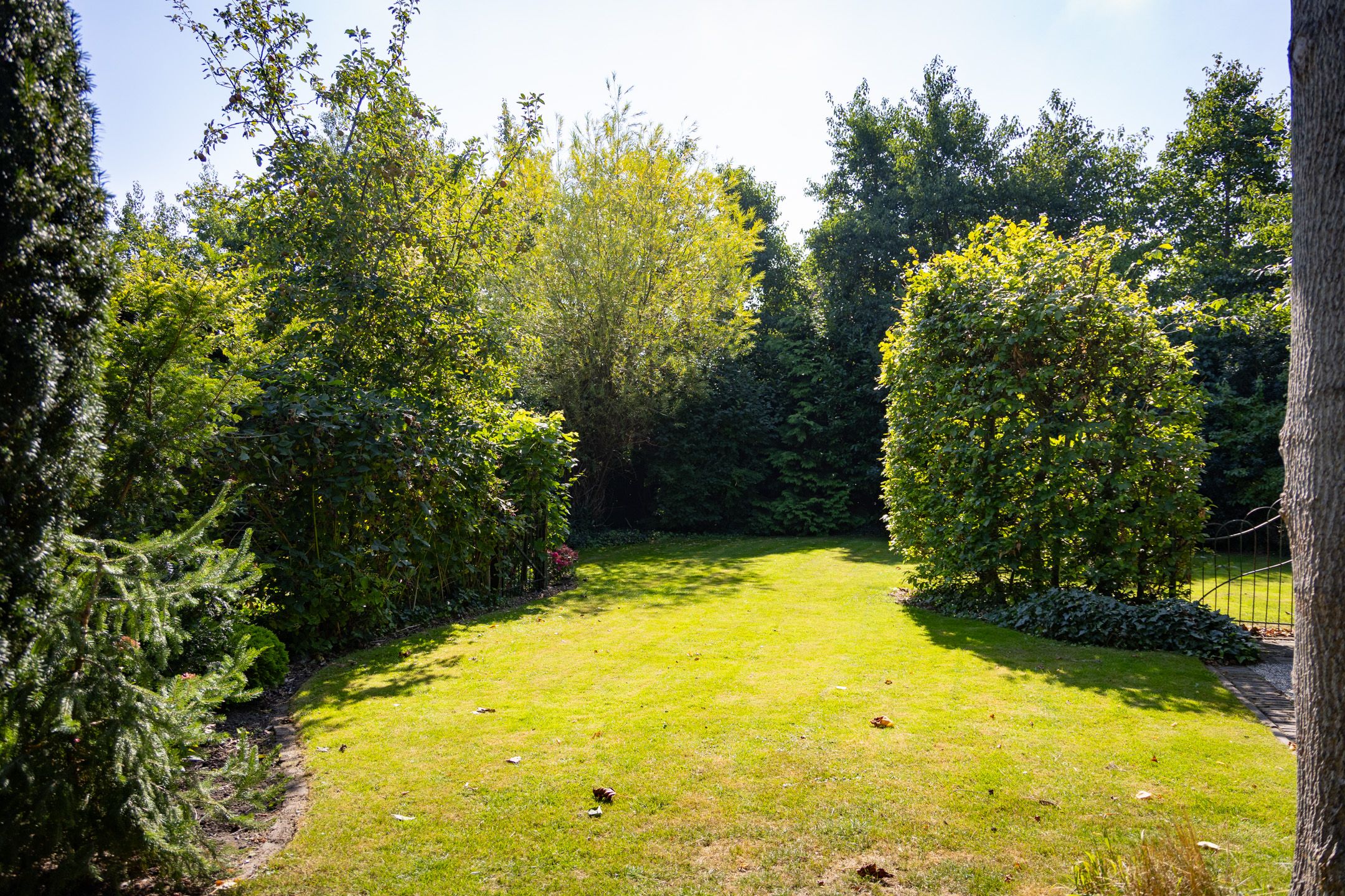 Foto 66 van Dorpsstraat 300