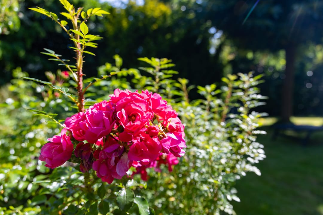 Foto 67 van Dorpsstraat 300