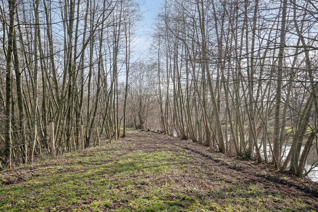 Foto 41 van Metslawierstraat 48