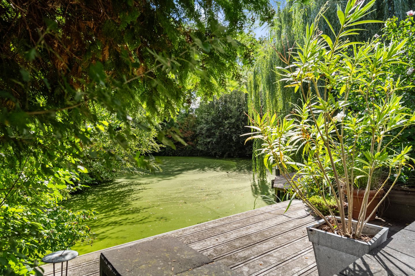 Foto 10 van Warenarburg 43