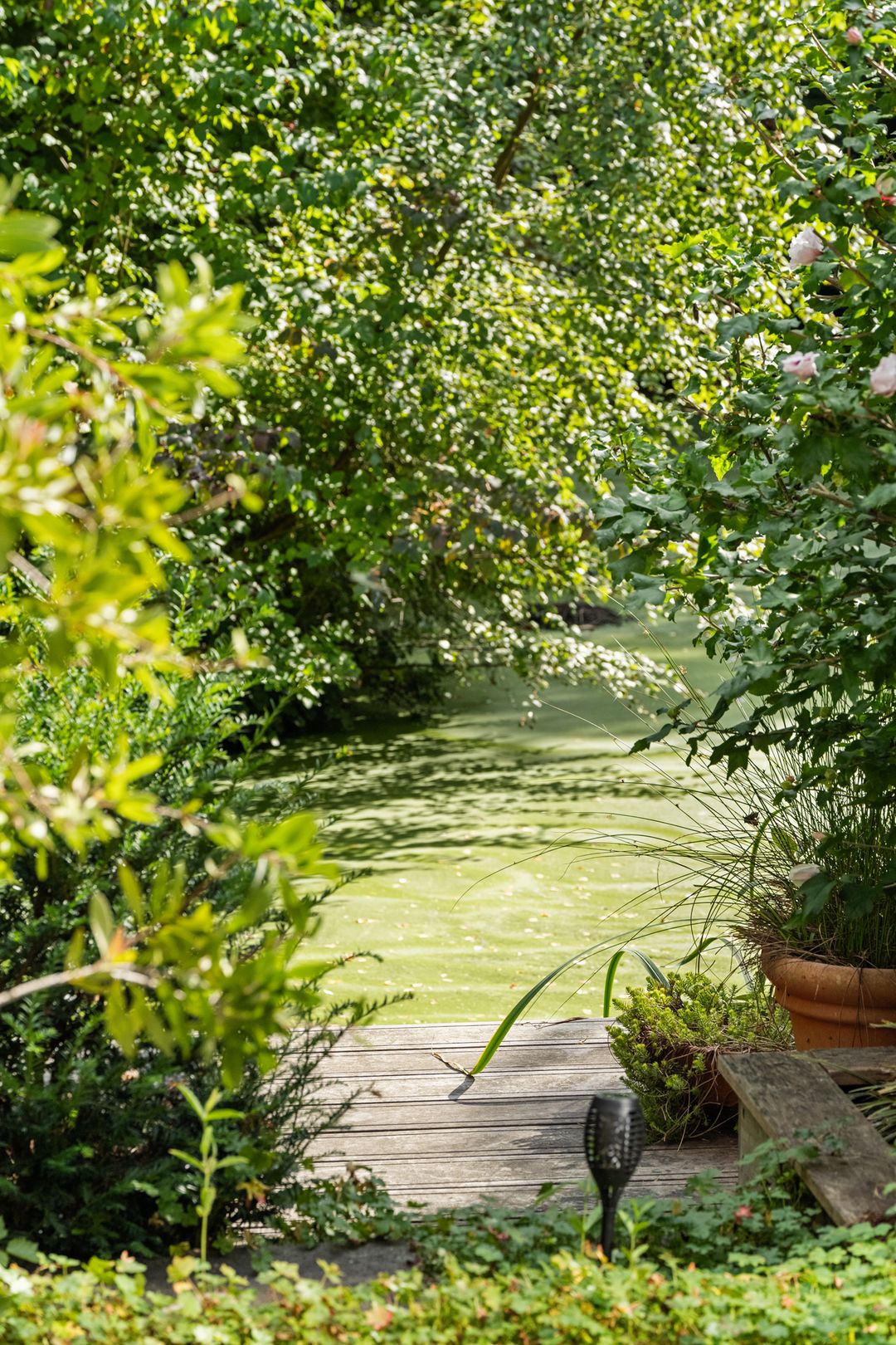 Foto 47 van Warenarburg 43