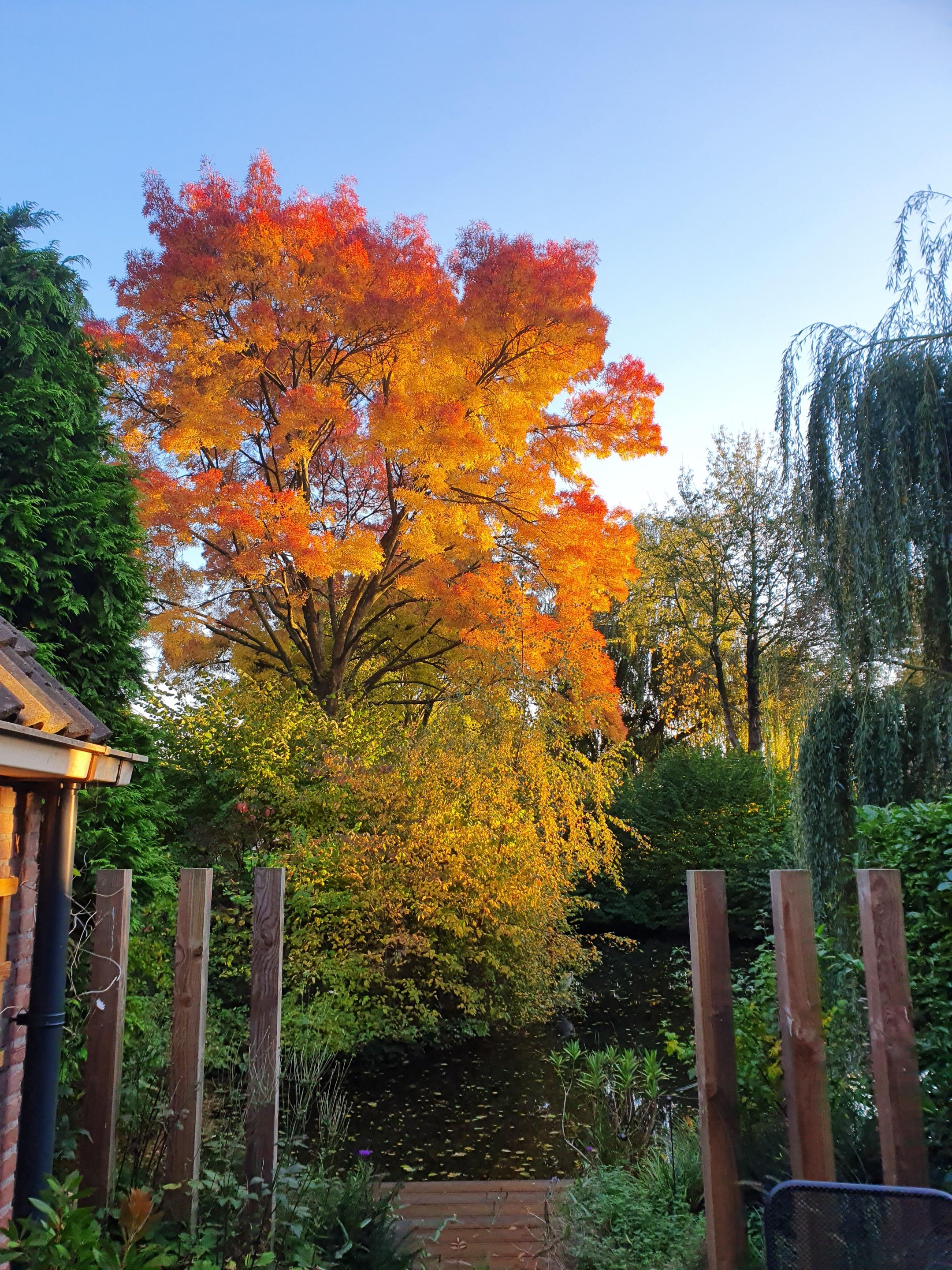 Foto 48 van Warenarburg 43