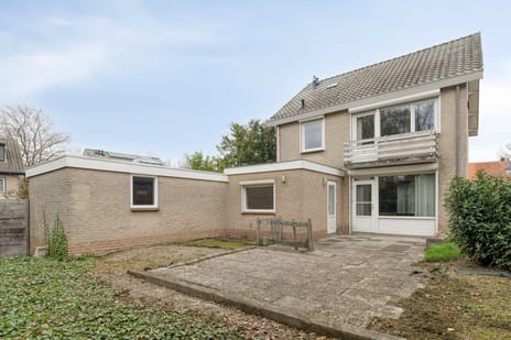 undefined main image