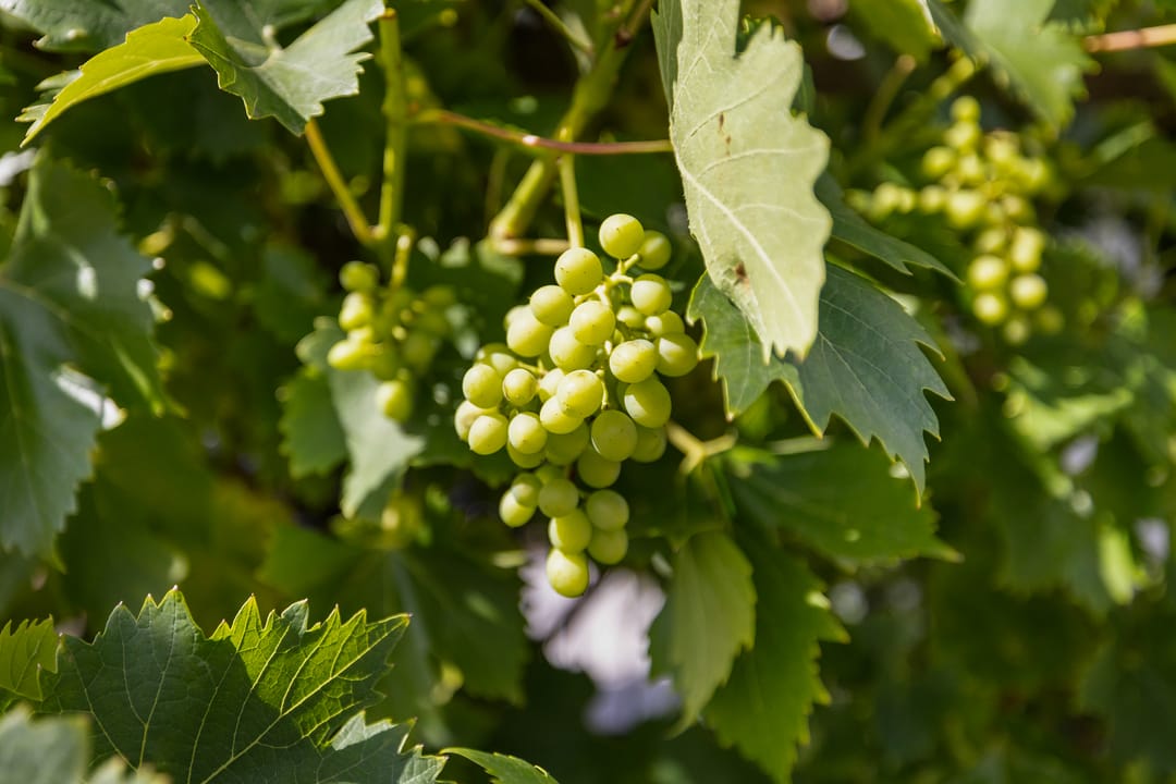 Photo 37 of Visserstuin 100