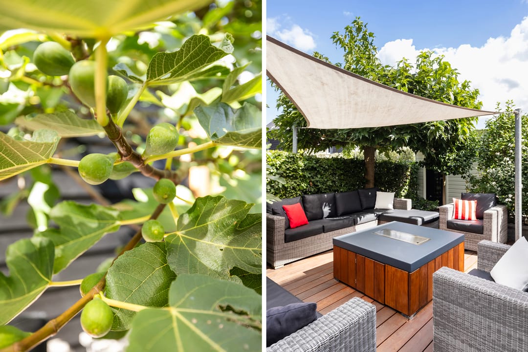 Photo 38 of Visserstuin 100