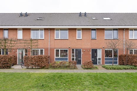 Mosterdlaan thumbnail