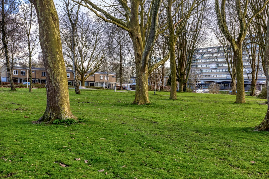 Photo 26 of Bumalaan 138