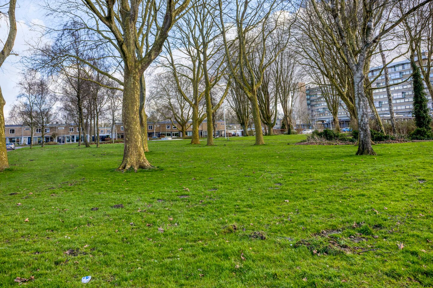 Photo 25 of Bumalaan 138