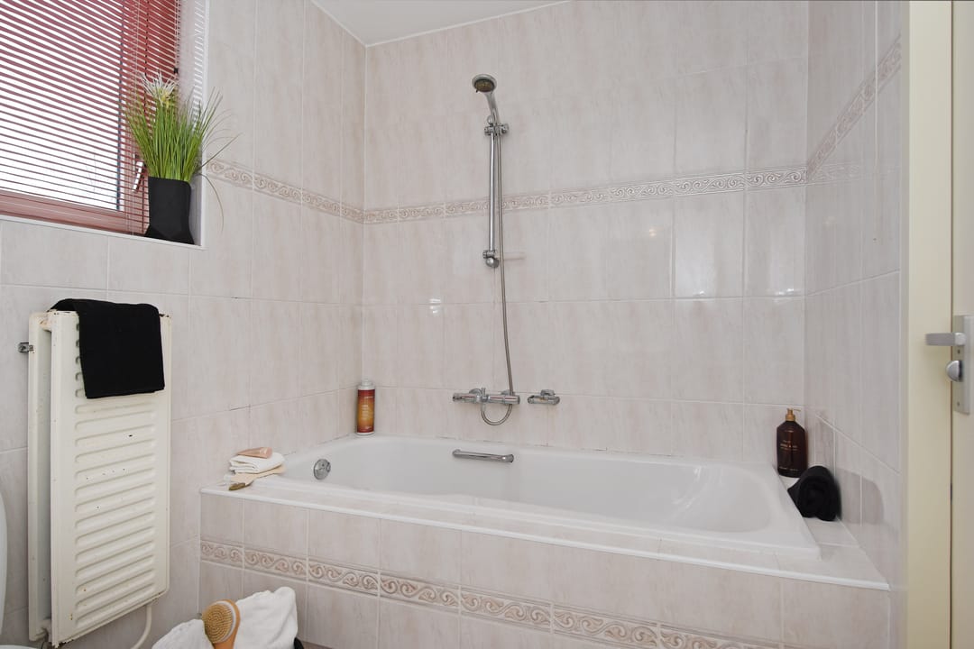 Photo 28 of Boomkwekerij 1