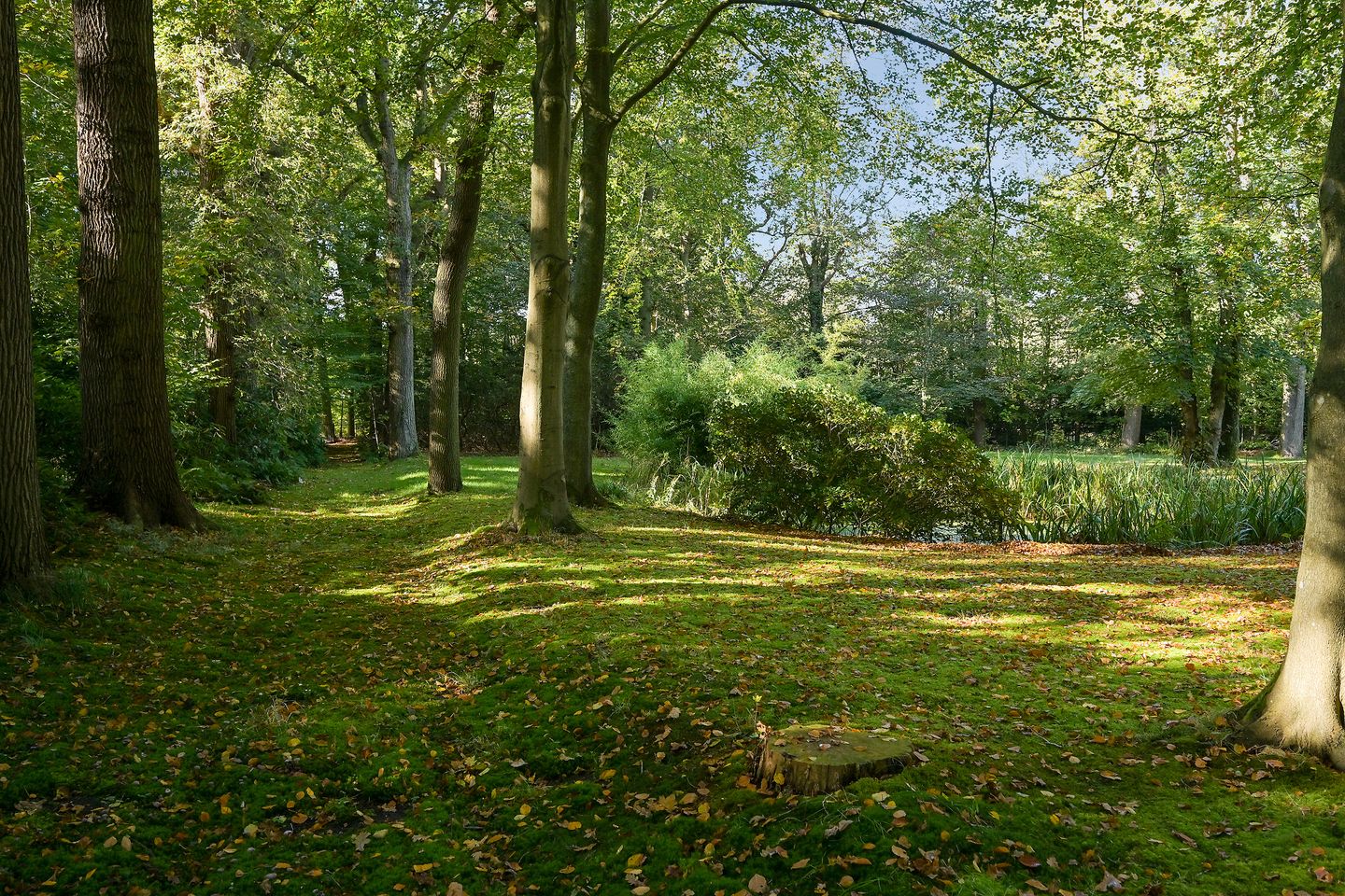 Foto 40 van Groot Haesebroekseweg 20