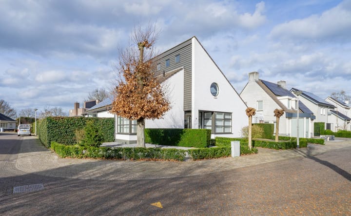 Photo 2 of Balthasar Coymansstraat 22