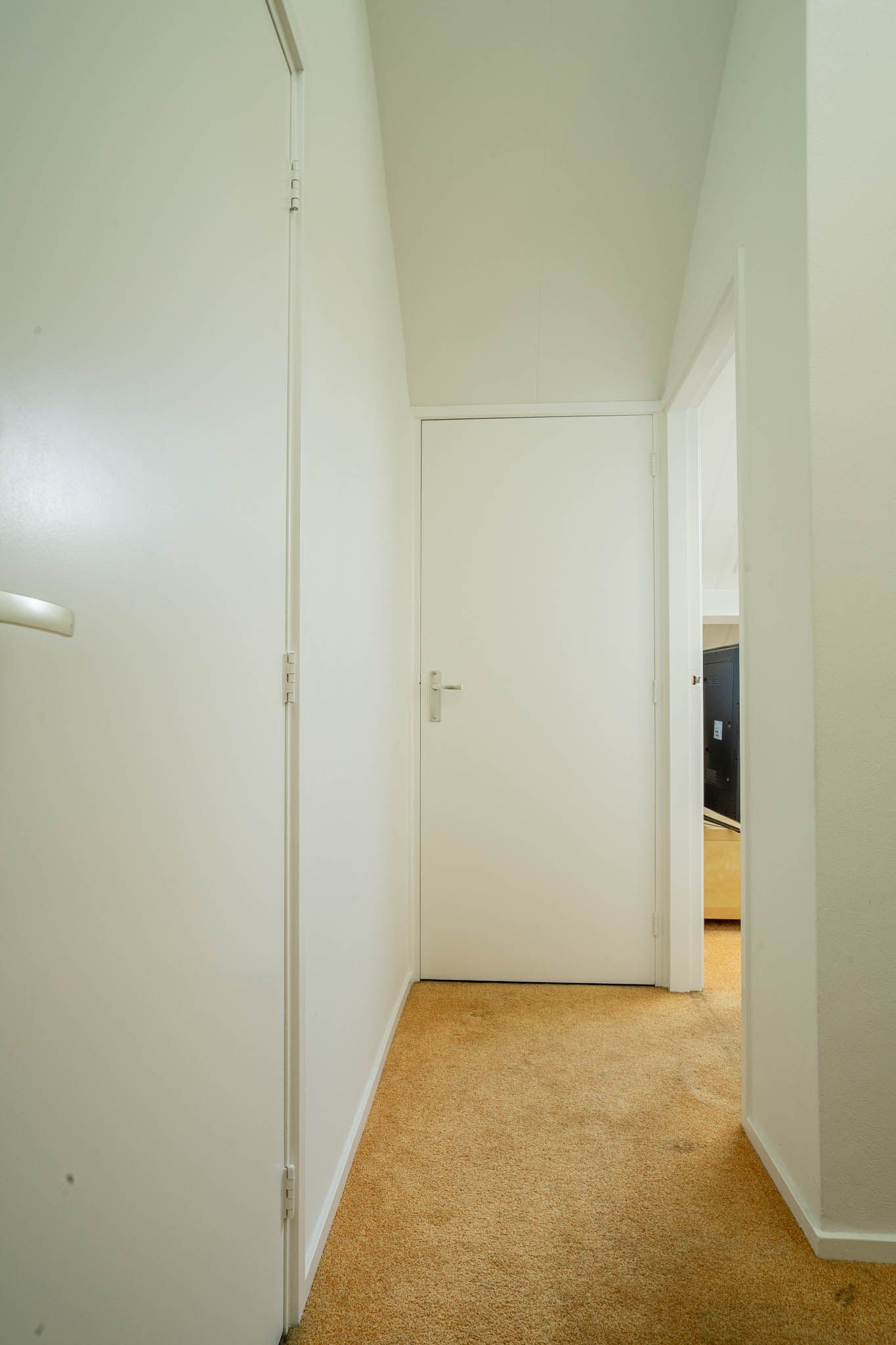 Photo 29 of Balthasar Coymansstraat 22