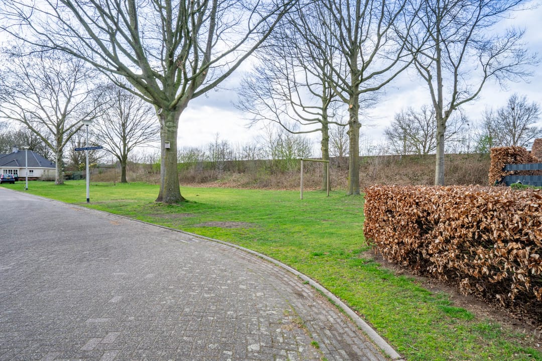 Photo 58 of Balthasar Coymansstraat 22