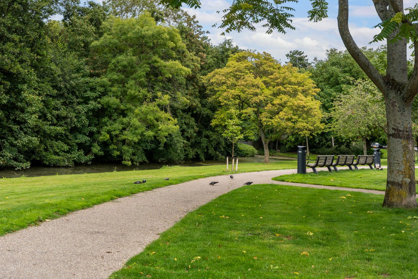 Foto 44 van Paradijslaan 134-B