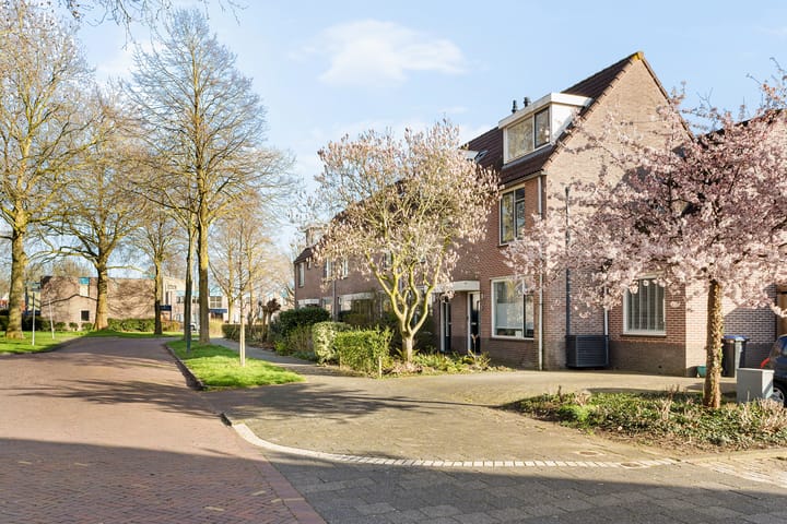 Foto 2 van Jacob Marisplein 3