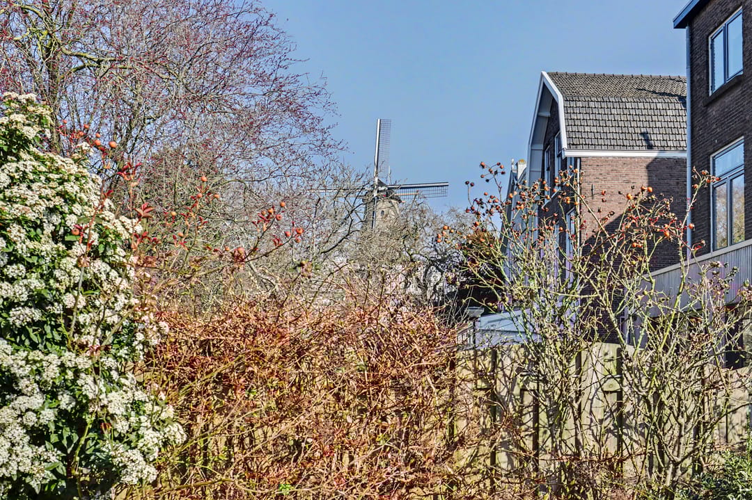 Foto 37 van Singel 43