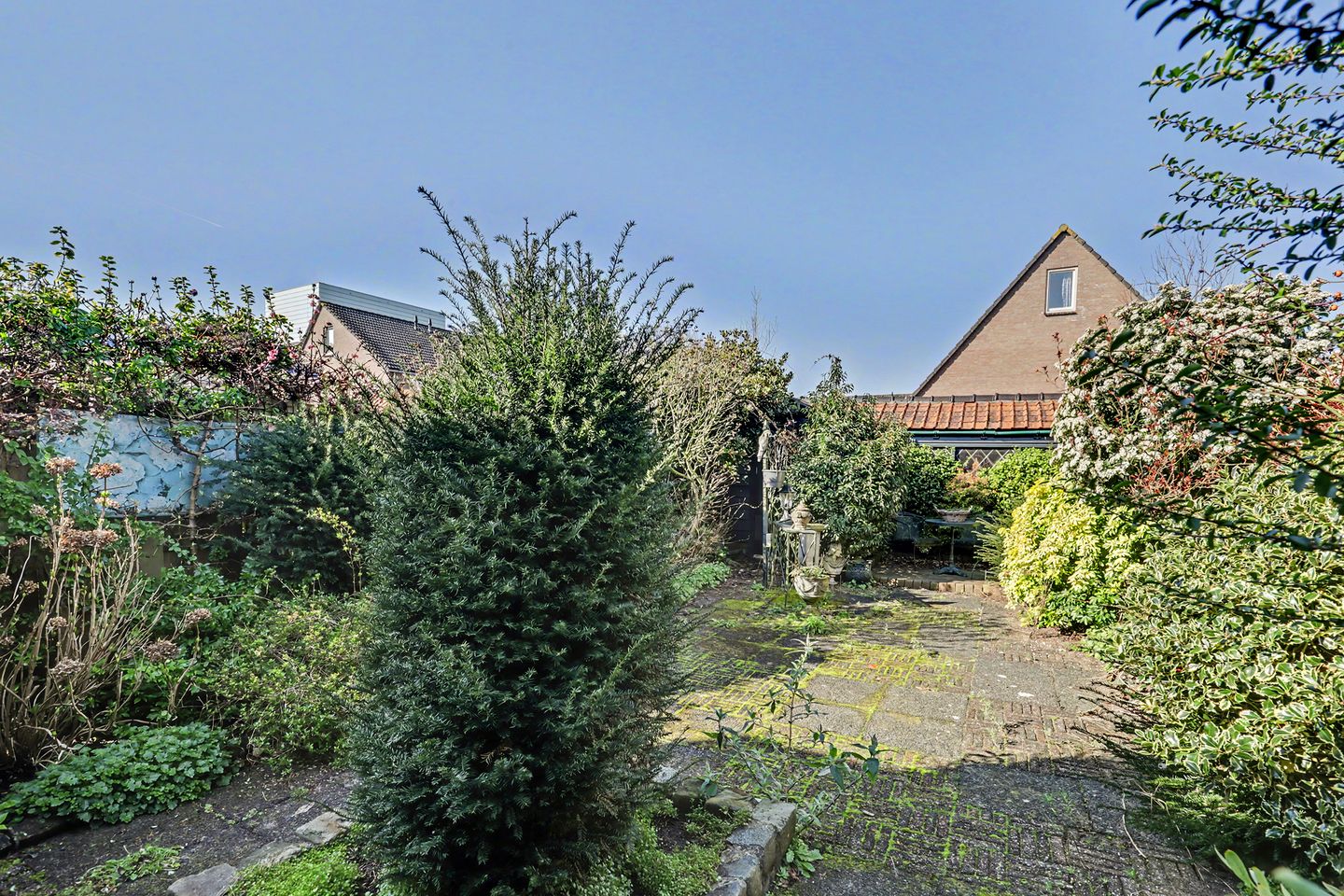 Foto 34 van Singel 43