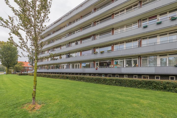 Van Leeuwenhoekstraat 8 main image