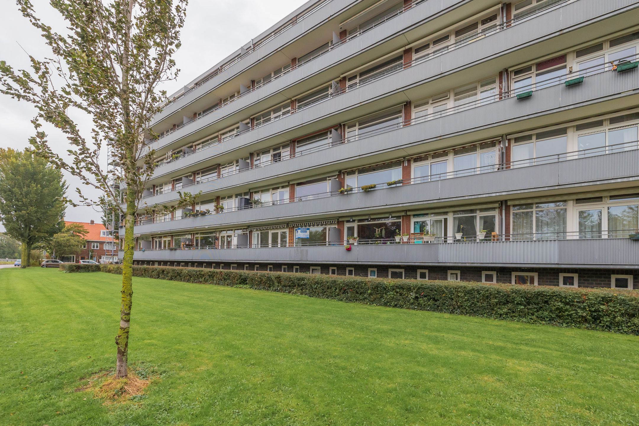 Van Leeuwenhoekstraat 8 