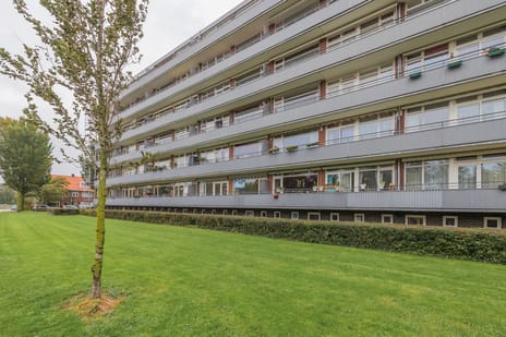Van Leeuwenhoekstraat thumbnail