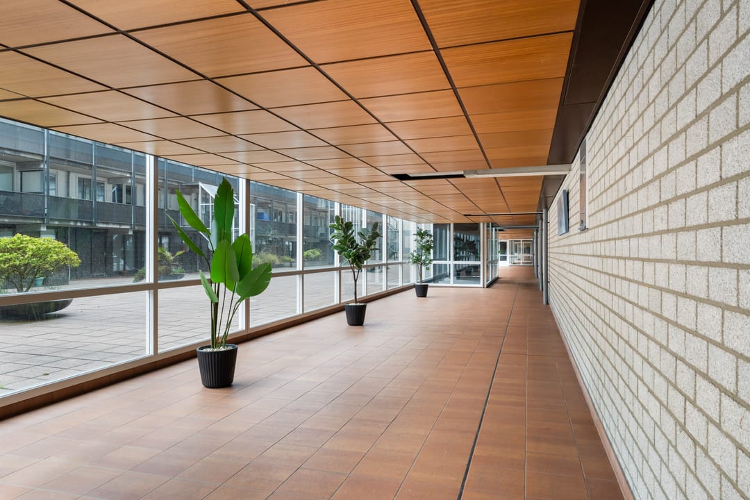 Foto 7 van Palaceplein 50