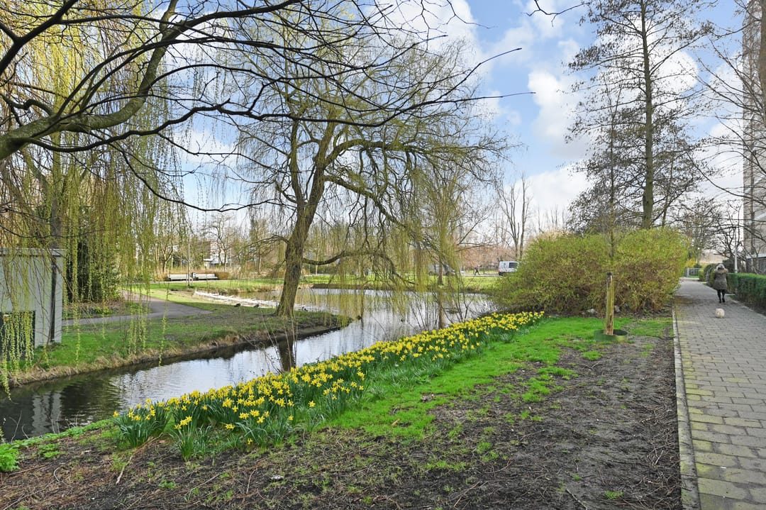 Photo 37 of Louis Davidsstraat 207