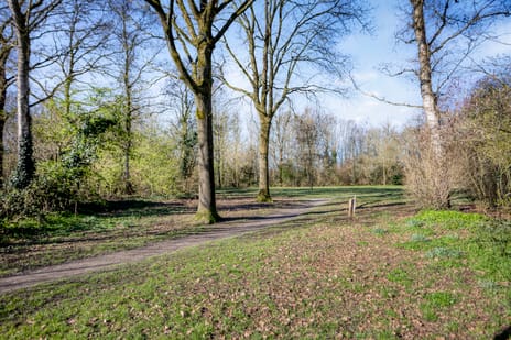 Schotakker 16 tertiary image