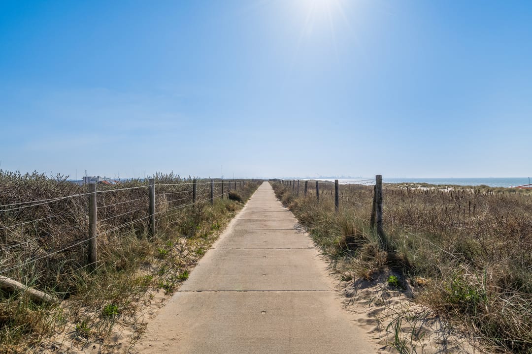 Foto 8 van Prins Willem III-plein 16