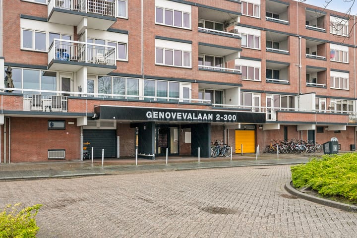 Foto 2 van Genovevalaan 244