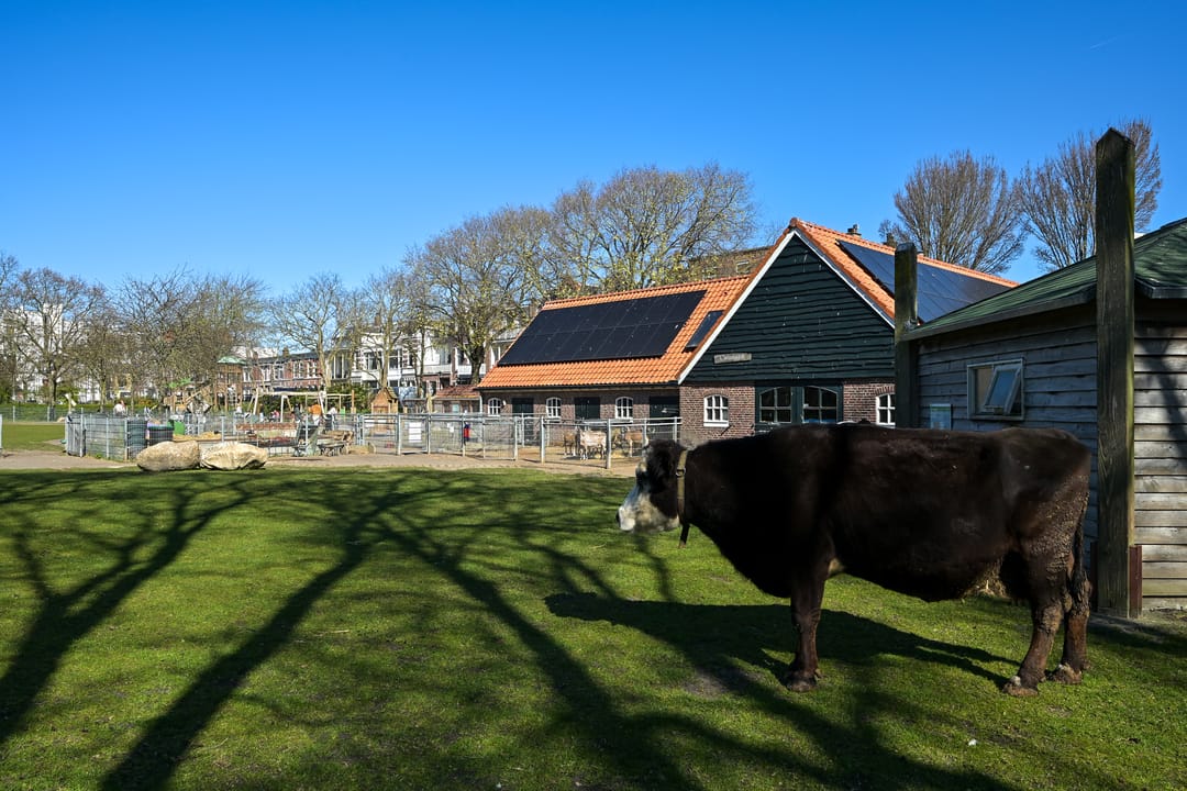 Foto 47 van Noordwijkstraat 9