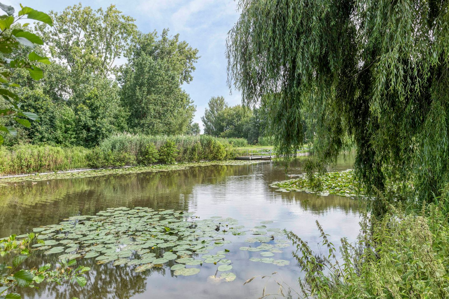 Foto 19 van Schielaan 66-A